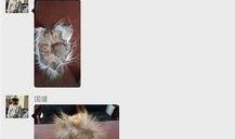 6.27爆料新闻,揭秘重大新闻背后的真相与影响